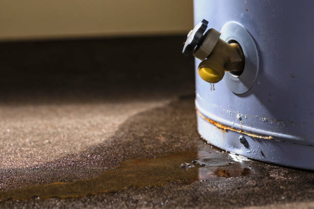 Best Flood restoration services  in Dexter, MO