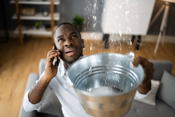 Best Sewage cleanup and water damage restoration  in Dexter, MO