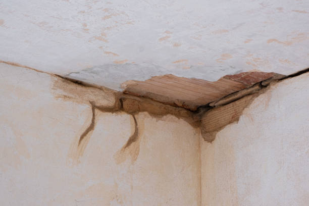 Best Local water damage restoration  in Dexter, MO