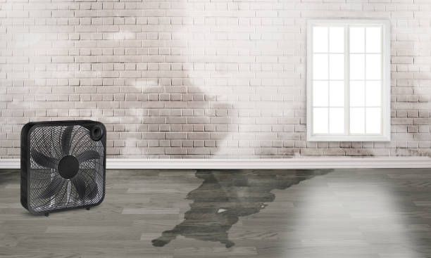 Best Emergency water damage restoration  in Dexter, MO