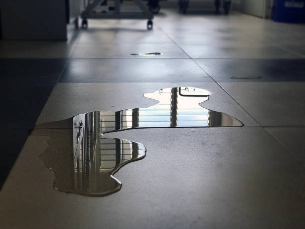 Best Professional water damage repair  in Dexter, MO