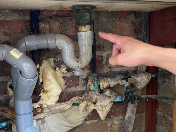 Best Emergency water extraction  in Dexter, MO