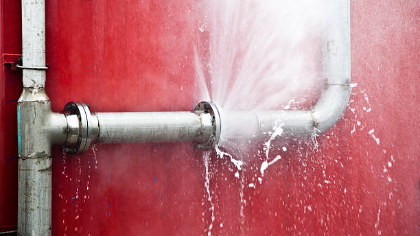 Best Mold removal after water damage  in Dexter, MO
